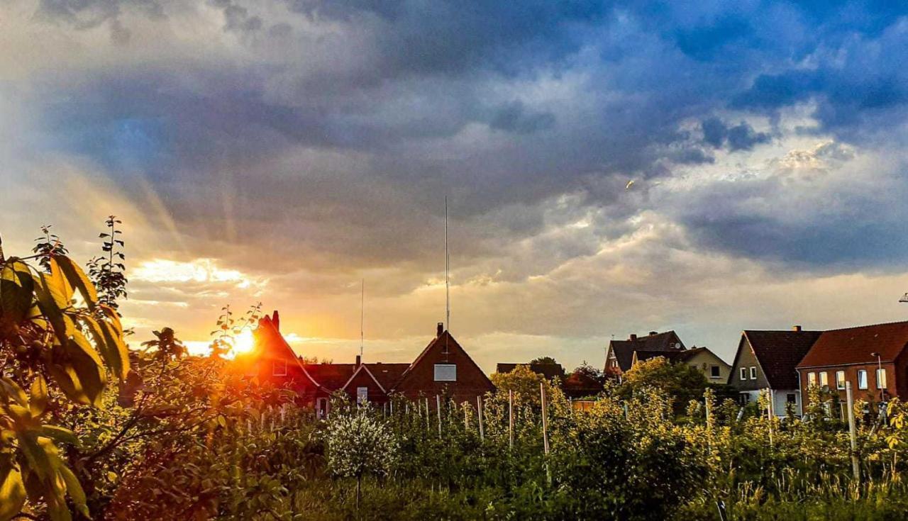 Ferienwohnung Bluetenblick Bachenbrock Екстериор снимка