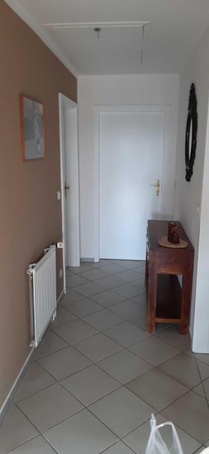 Ferienwohnung Bluetenblick Bachenbrock Екстериор снимка